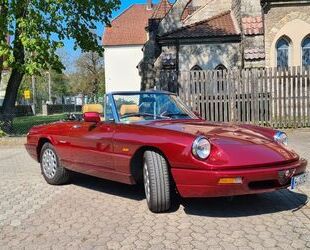 Alfa Romeo Spider Gebrauchtwagen