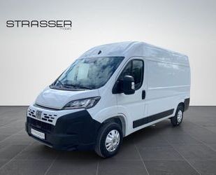 Fiat Ducato Gebrauchtwagen