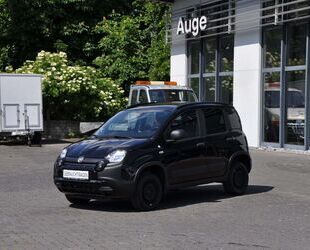 Fiat Panda Gebrauchtwagen
