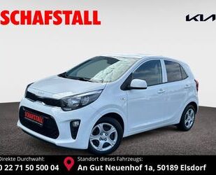 Kia Picanto Gebrauchtwagen
