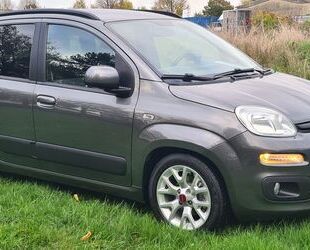 Fiat Panda Gebrauchtwagen