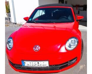VW Beetle Gebrauchtwagen