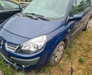 Renault Scenic Gebrauchtwagen