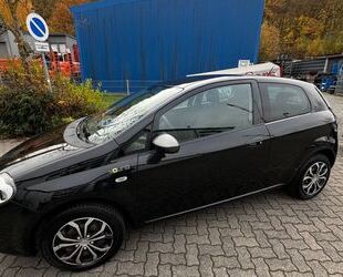 Fiat Punto Gebrauchtwagen