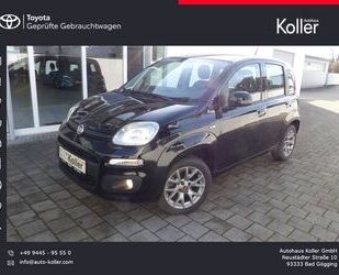 Fiat Panda Gebrauchtwagen
