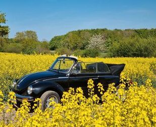 VW Käfer Gebrauchtwagen