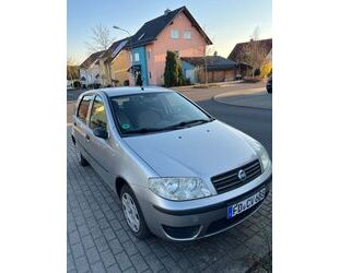 Fiat Punto Gebrauchtwagen