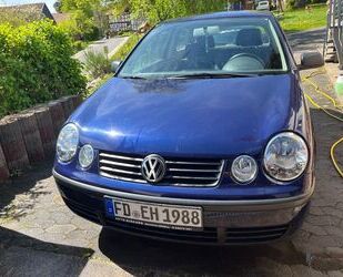 VW Polo Gebrauchtwagen