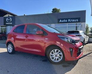 Kia Picanto Gebrauchtwagen