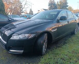 Jaguar XF Gebrauchtwagen