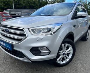 Ford Kuga Gebrauchtwagen