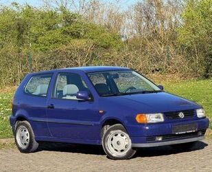 VW Polo Gebrauchtwagen