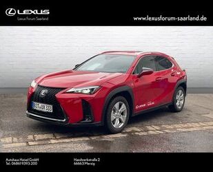 Lexus UX Gebrauchtwagen