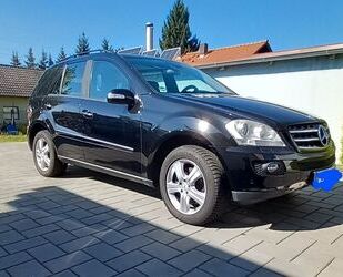 Mercedes-Benz ML 350 Gebrauchtwagen