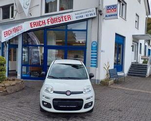 Fiat Panda Gebrauchtwagen