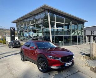 Mazda CX-30 Gebrauchtwagen