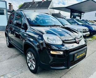Fiat Panda Gebrauchtwagen