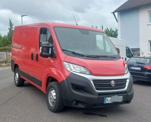 Fiat Ducato Gebrauchtwagen