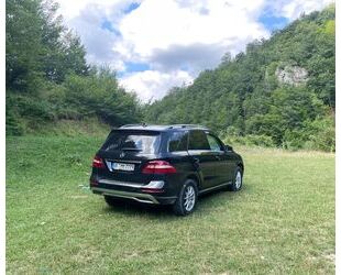 Mercedes-Benz ML 250 Gebrauchtwagen