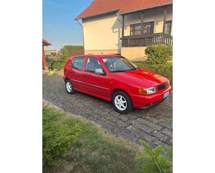 VW Polo Gebrauchtwagen