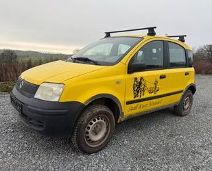 Fiat Panda Gebrauchtwagen