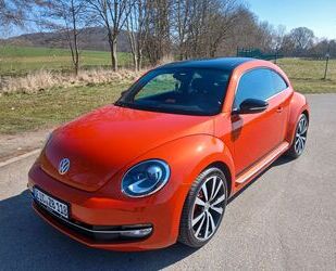 VW Beetle Gebrauchtwagen