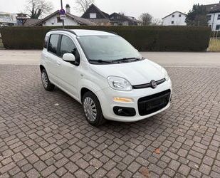 Fiat Panda Gebrauchtwagen
