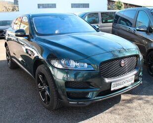 Jaguar F-Pace Gebrauchtwagen