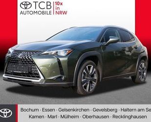 Lexus UX Gebrauchtwagen