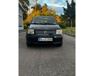 Fiat Panda Gebrauchtwagen