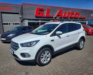 Ford Kuga Gebrauchtwagen