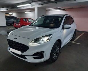 Ford Kuga Gebrauchtwagen