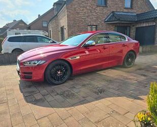 Jaguar XE Gebrauchtwagen