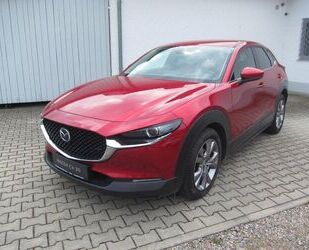 Mazda CX-30 Gebrauchtwagen