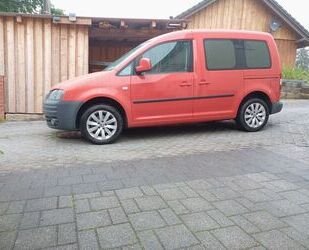 VW Caddy Gebrauchtwagen