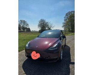 Tesla Model Y Gebrauchtwagen
