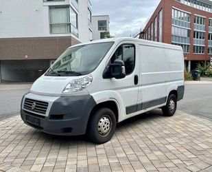 Fiat Ducato Gebrauchtwagen