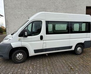 Fiat Ducato Gebrauchtwagen