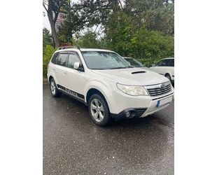 Subaru Forester Gebrauchtwagen