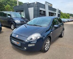 Fiat Punto Gebrauchtwagen