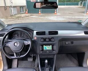 VW Caddy Gebrauchtwagen