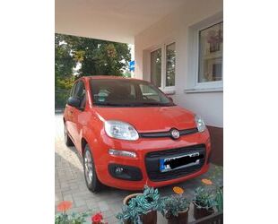 Fiat Panda Gebrauchtwagen