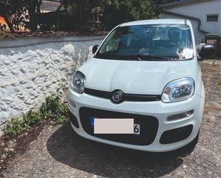 Fiat Panda Gebrauchtwagen