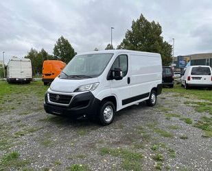 Fiat Ducato Gebrauchtwagen