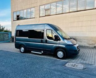 Fiat Ducato Gebrauchtwagen
