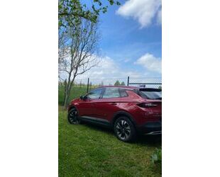 Opel Grandland (X) Gebrauchtwagen