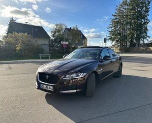 Jaguar XF Gebrauchtwagen