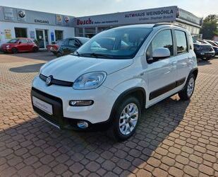 Fiat Panda Gebrauchtwagen