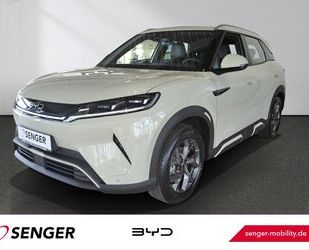 BYD ATTO 2 Gebrauchtwagen