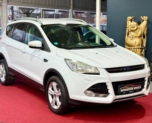 Ford Kuga Gebrauchtwagen